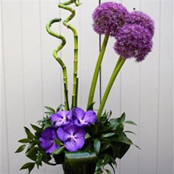 Alium and Vanda Orchid