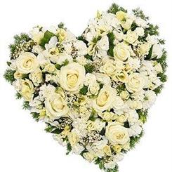 Classic White Rose Heart