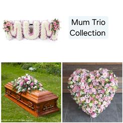 MUM Trio Collection 