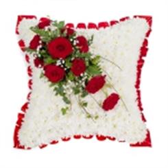 Red Rose Cushion