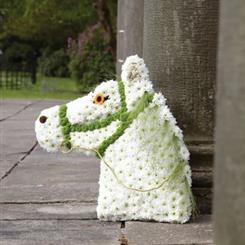 Horse Head Tribute