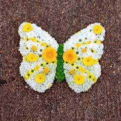 Yellow Butterfly Tribute 