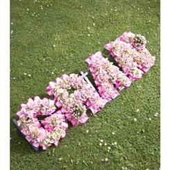 Hydrangea Tribute