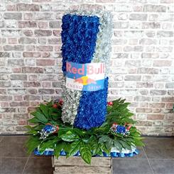 Red Bull Can 