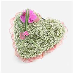 Petite Gypsophila Heart