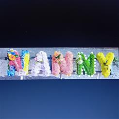 NANNY No3