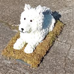3D Dog