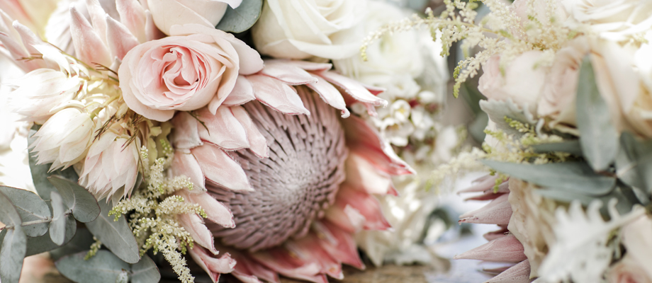 Garlands and Greens